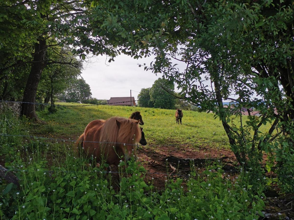 La Maison Du Colombier Le Fied Zewnętrze zdjęcie